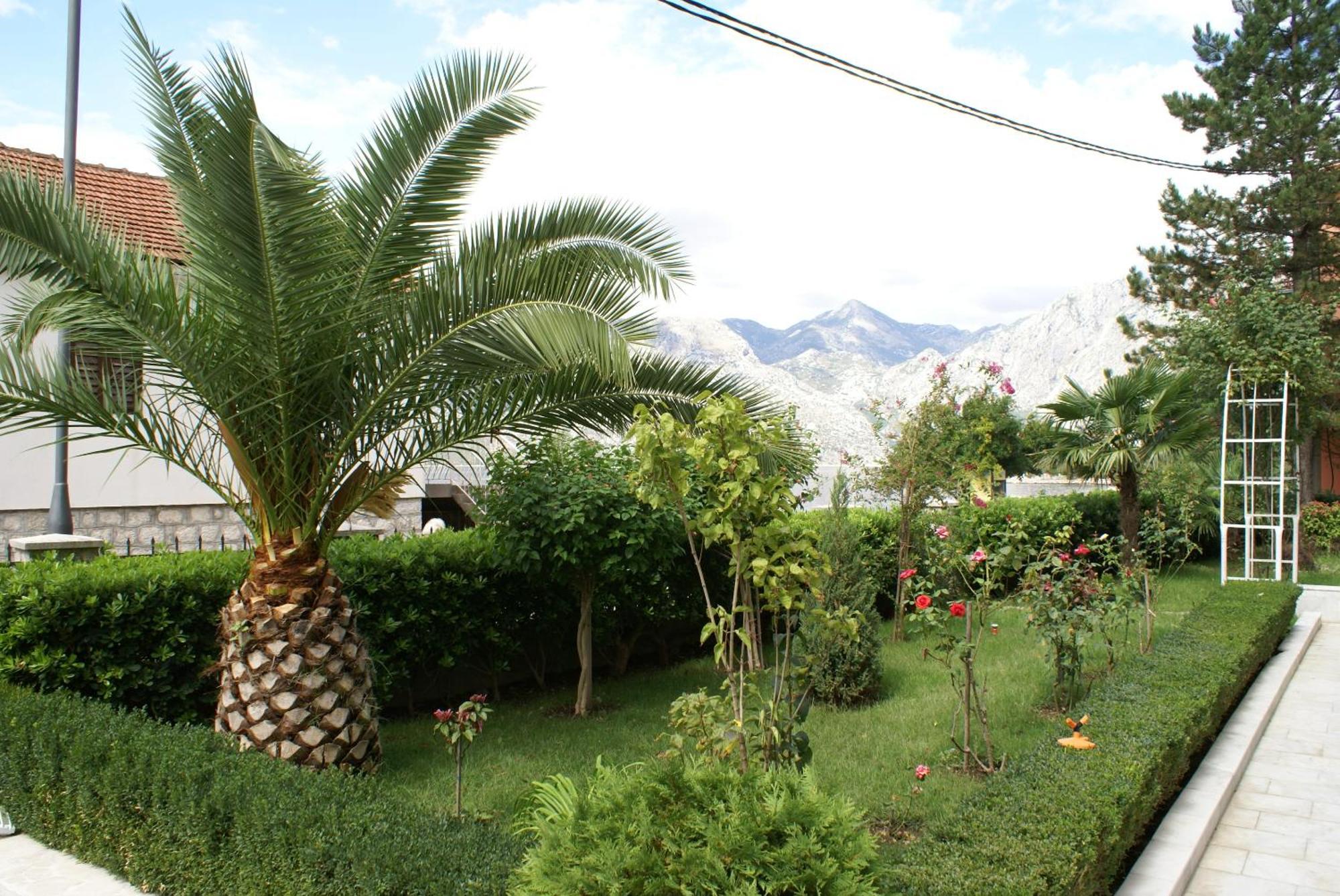 Apartments Radulovic Kotor Zewnętrze zdjęcie